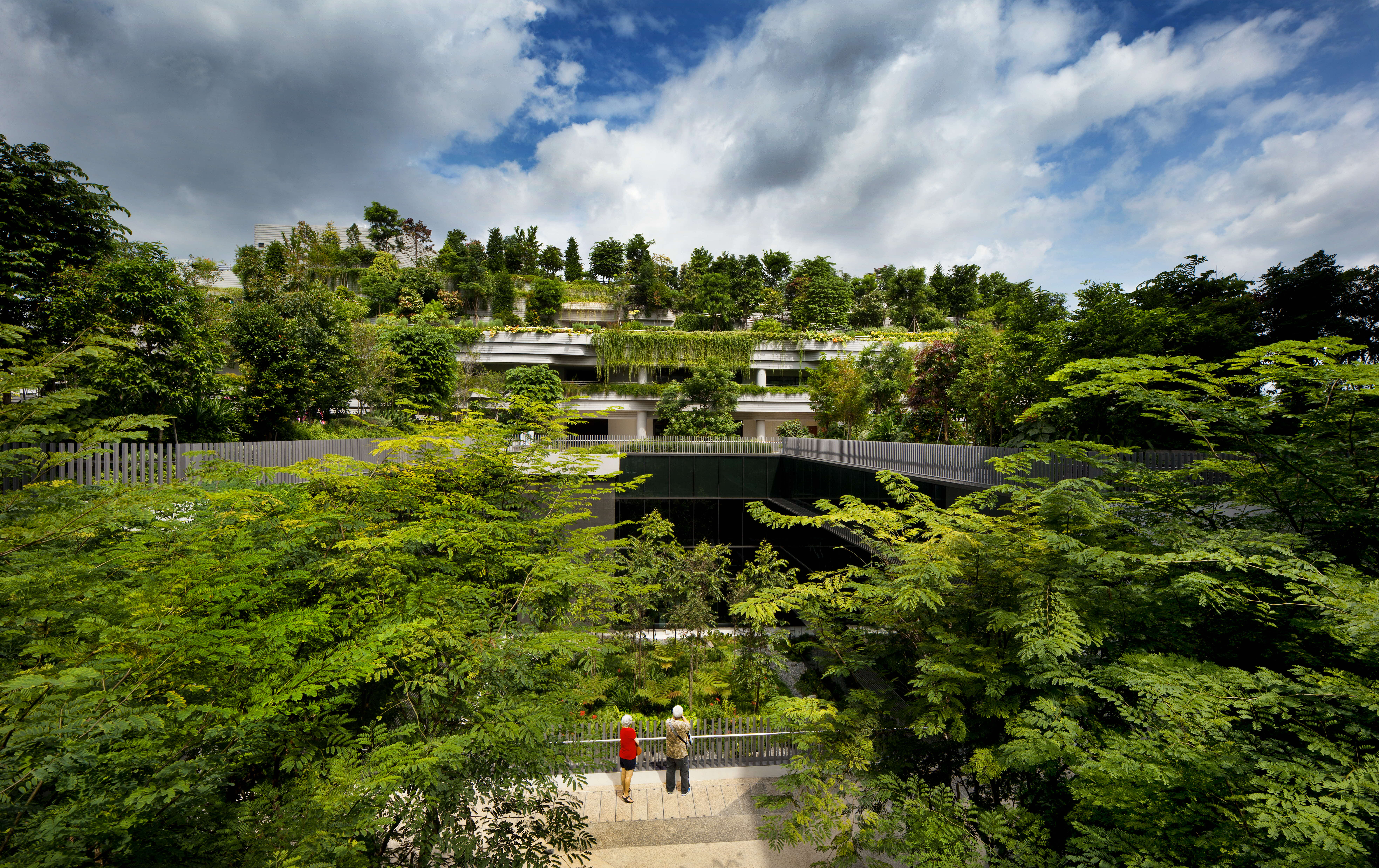 Photo of Kampung Admiralty's terraced layout and greenery